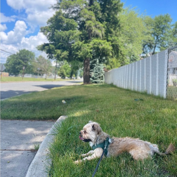 Meet your Posher, Andres - Picture 3 of 3